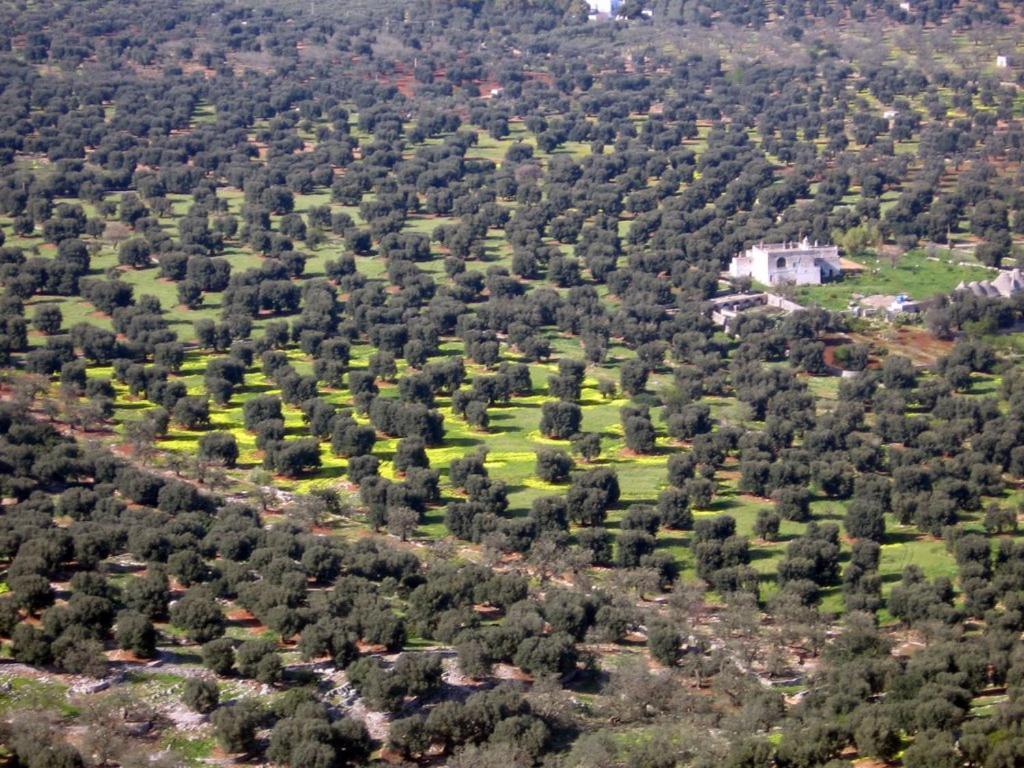 I Trulli Di Acquarossa Aparthotel Cisternino Esterno foto